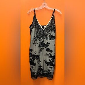 Parisian Collection Black Deep V Neck Dress